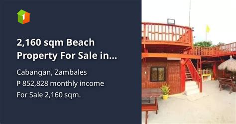 zambales beach lot for sale|Cabangan, Zambales Beach lot For Sale .